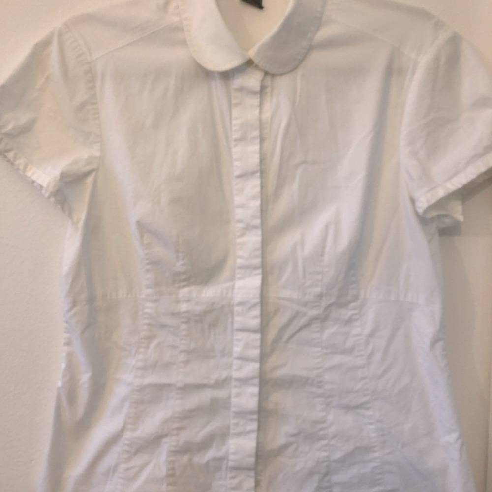 Ann Taylor